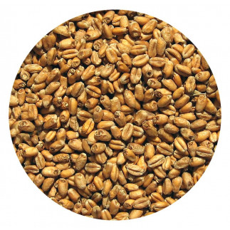 Солод пшеничный Wheat EBC 4-6 К.C. (1кг)